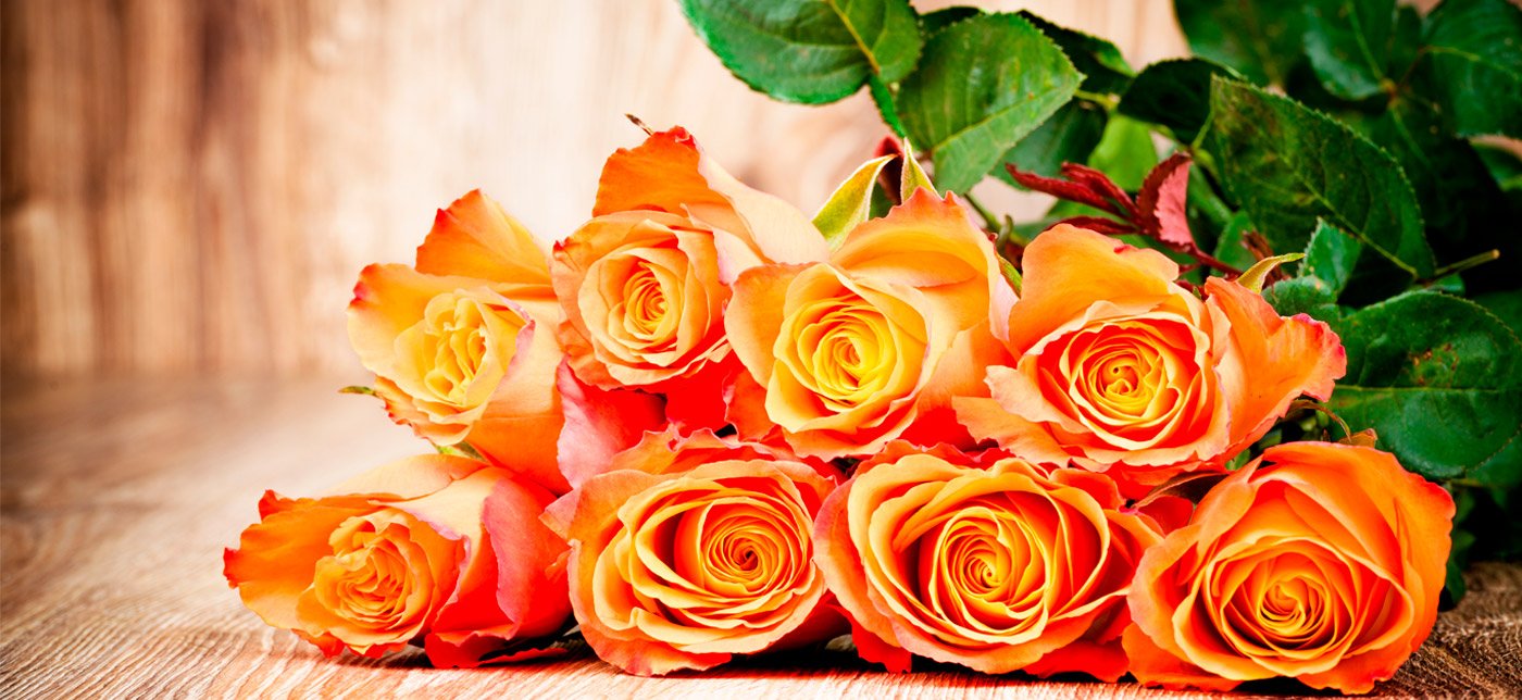 Significado de las Rosas Naranjas Colombia