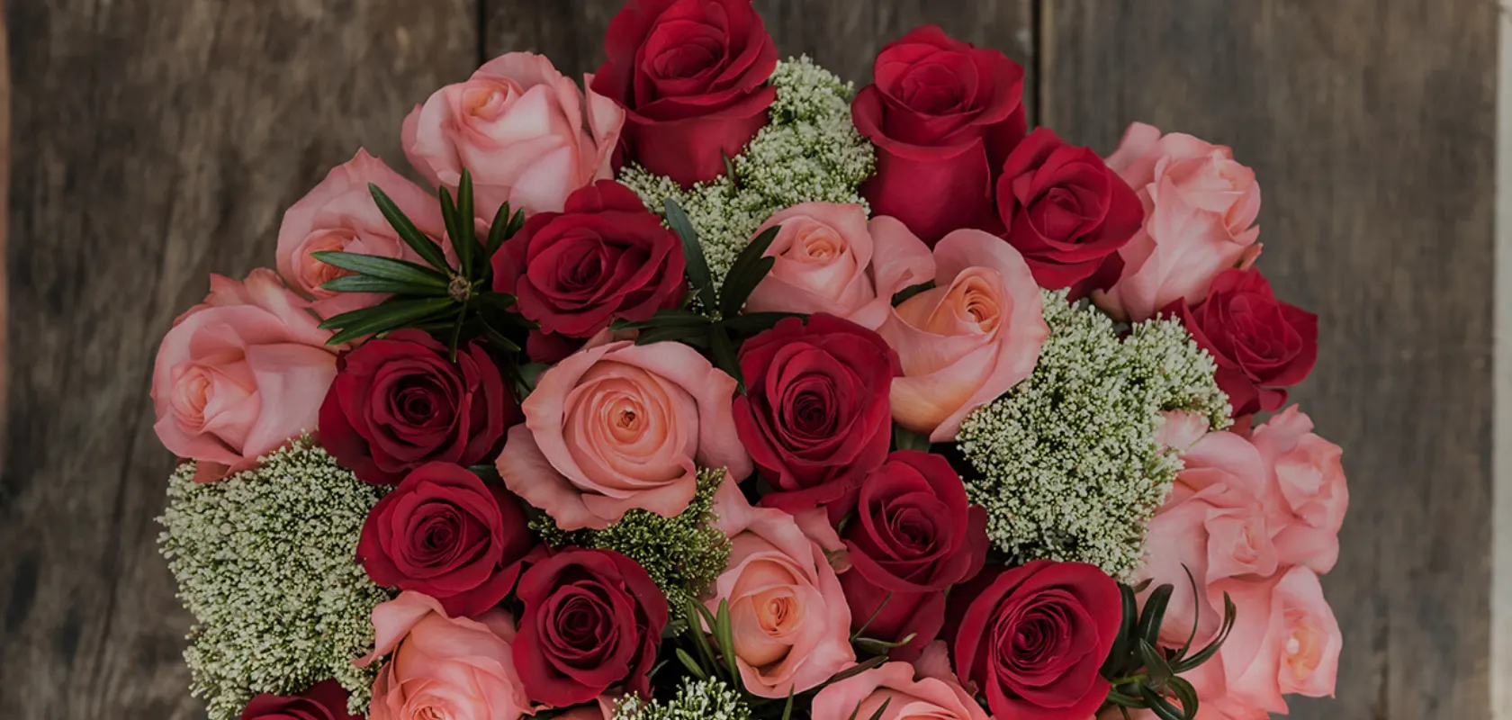 variedades de rosas de colombia